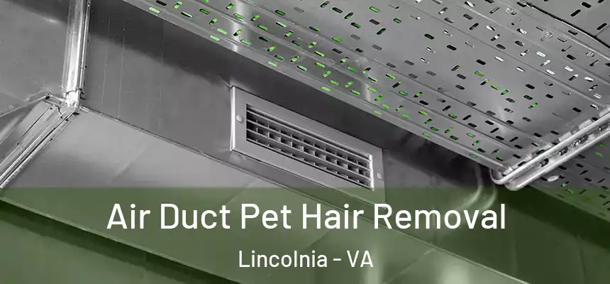  Air Duct Pet Hair Removal Lincolnia - VA