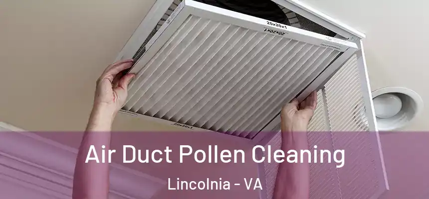 Air Duct Pollen Cleaning Lincolnia - VA