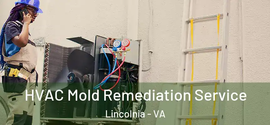 HVAC Mold Remediation Service Lincolnia - VA