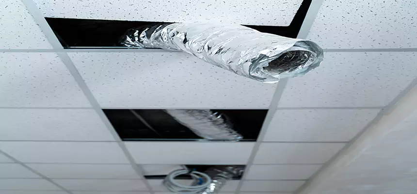 Our Air Duct Pet Hair Removal Services in Lincolnia, VA