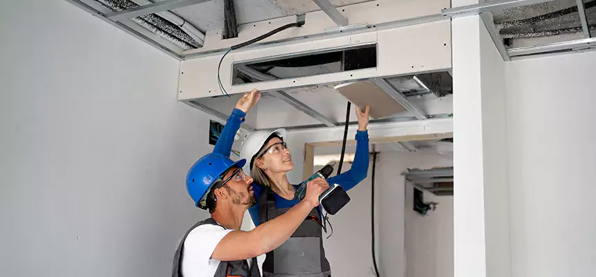 Our Air Duct Virus Disinfection Services in Lincolnia, VA