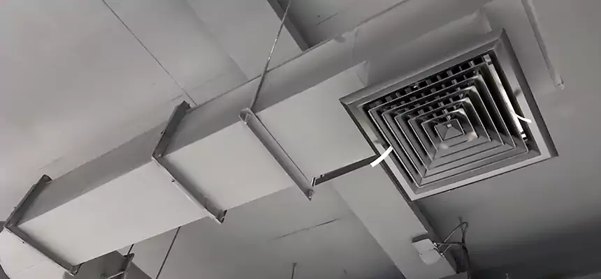 Our Pest Removal From Ducts Services in Lincolnia, VA