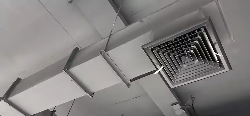 Our Rodent Droppings In Vents Services in Lincolnia, VA