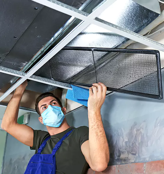 About Air Duct Bacteria Removal in Lincolnia