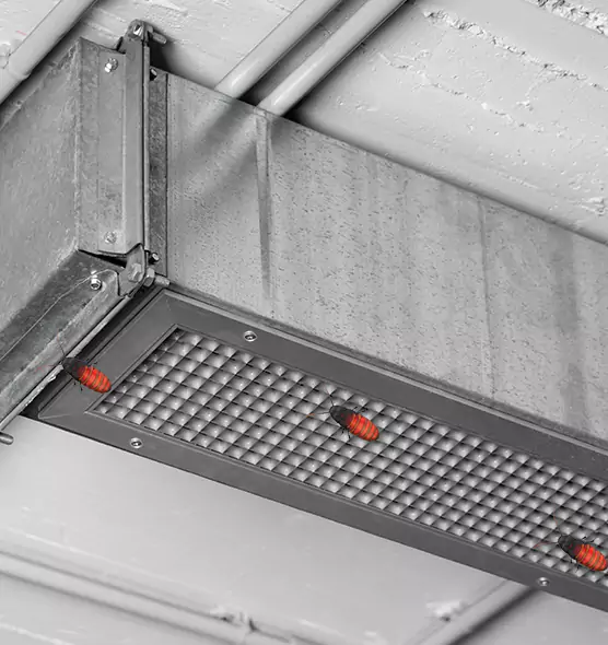 About Air Duct Cockroach Removal in Lincolnia, VA