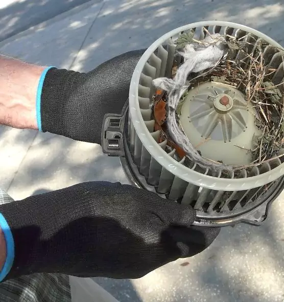 About Air Duct Rat Removal in Lincolnia, VA