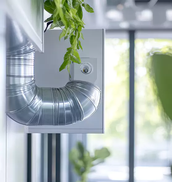 Professional Eco-Friendly Duct Cleaning Services in Lincolnia, VA