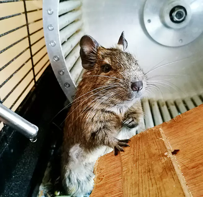 Why Homeowners & Businesses Trust Us Lincolnia, VA?