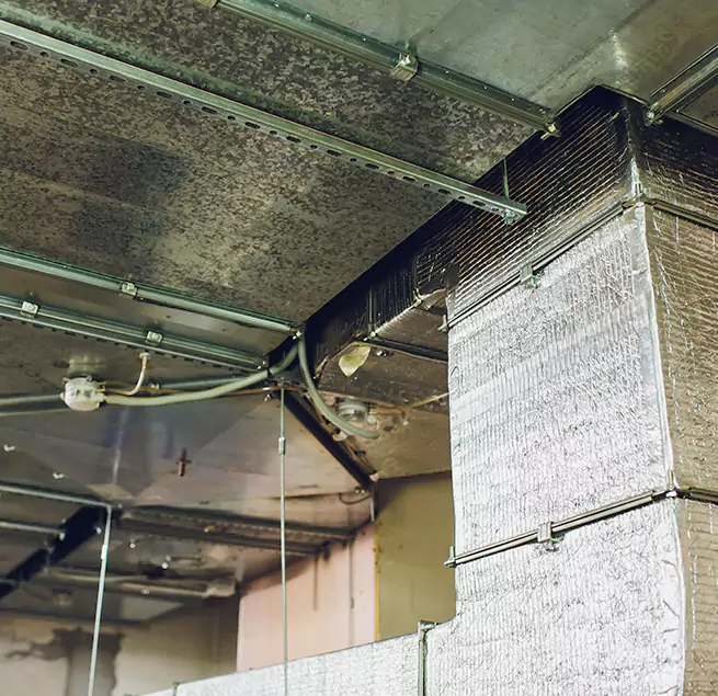 Why Homeowners & Businesses Trust Us in Lincolnia, VA?