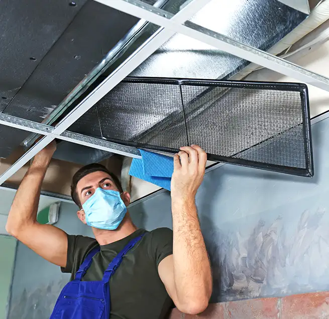 Why Homeowners & Businesses Trust Us in Lincolnia, VA?